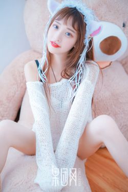 扶摇夫人.小说