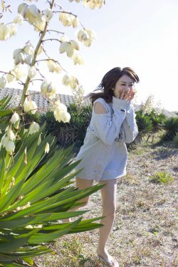 工作女郎无删减